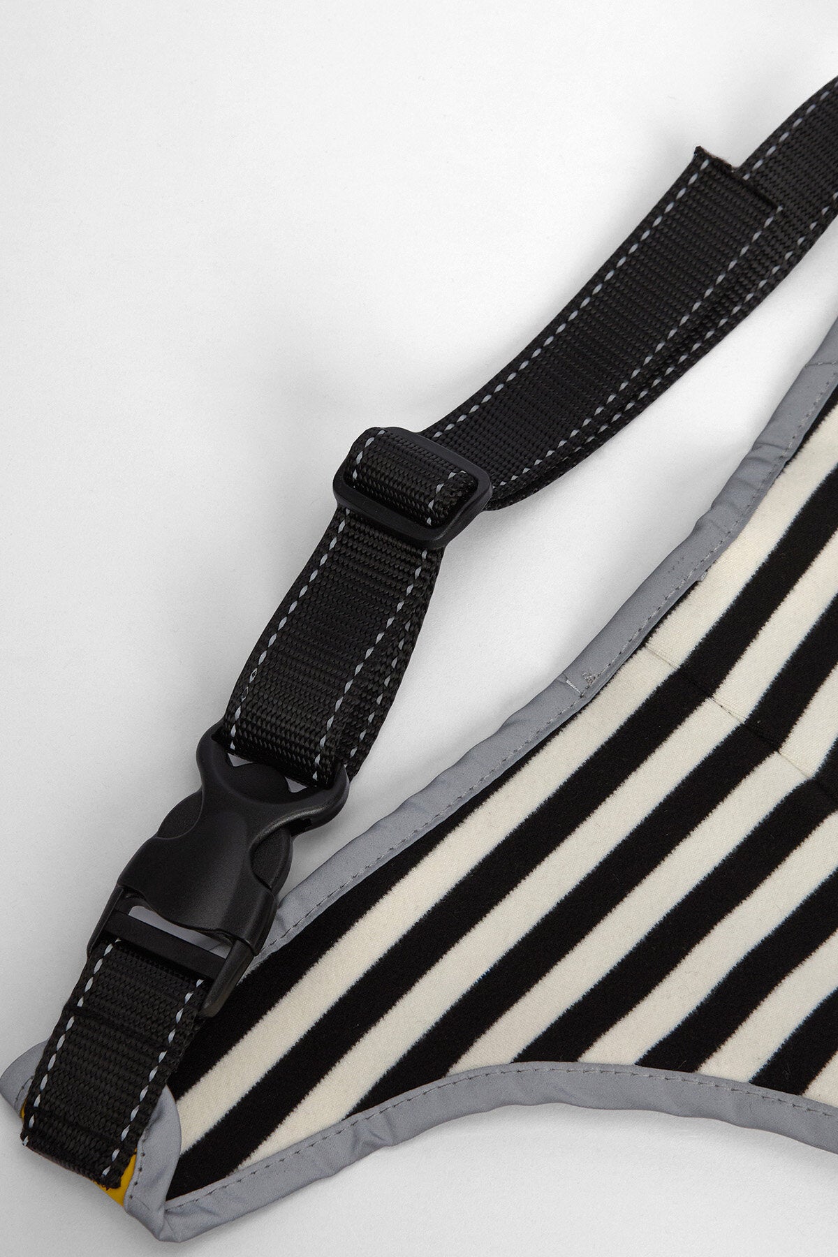 Evie Waterproof Dog Coat - LIMEADE