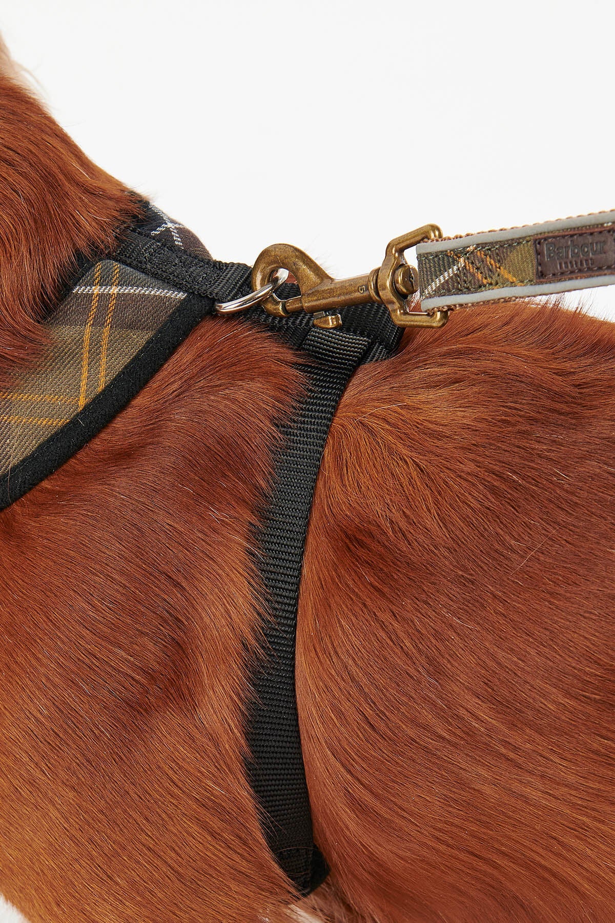 Tartan Dog Harness - CLASSIC TARTAN
