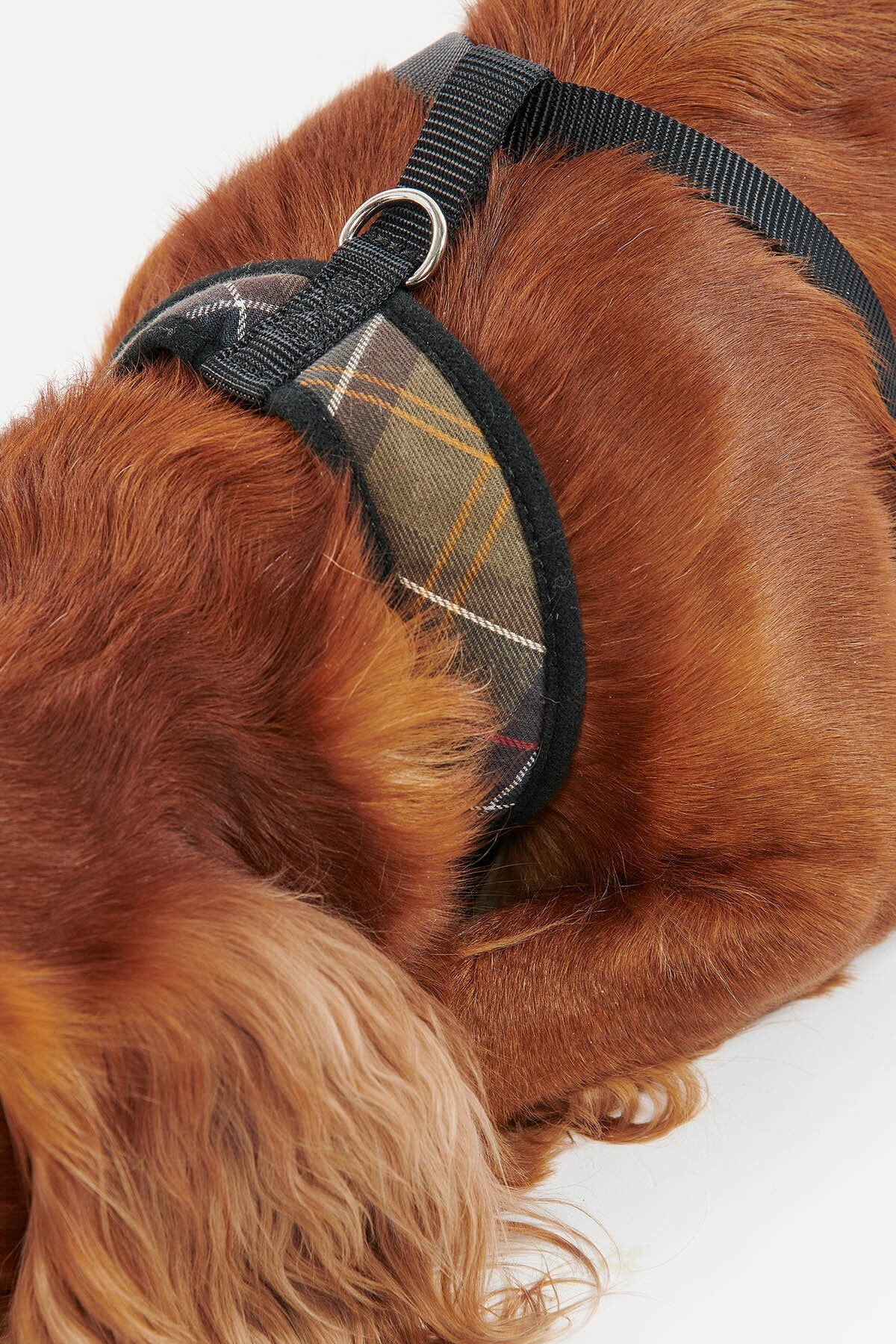 Tartan Dog Harness - CLASSIC TARTAN