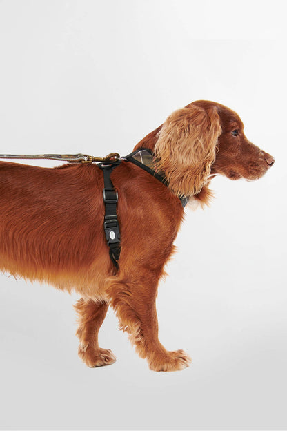 Tartan Dog Harness - CLASSIC TARTAN