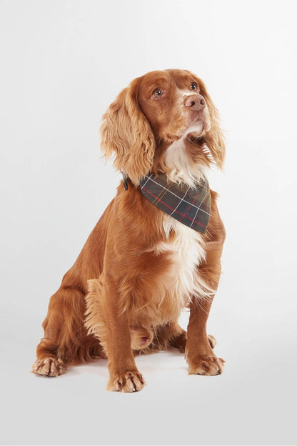 Tartan Dog Bandana - CLASSIC TARTAN