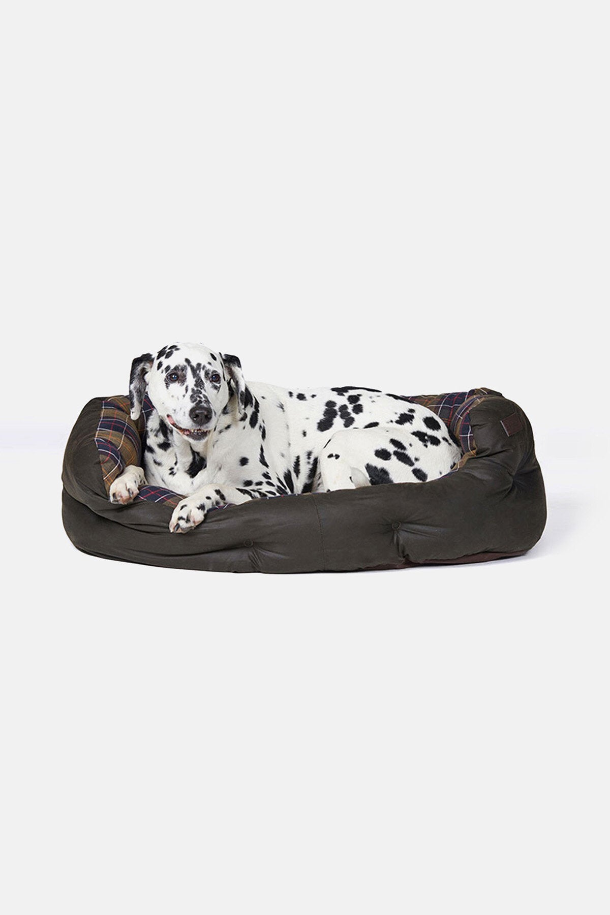 Wax cotton dog bed - CLASSIC/OLIVE