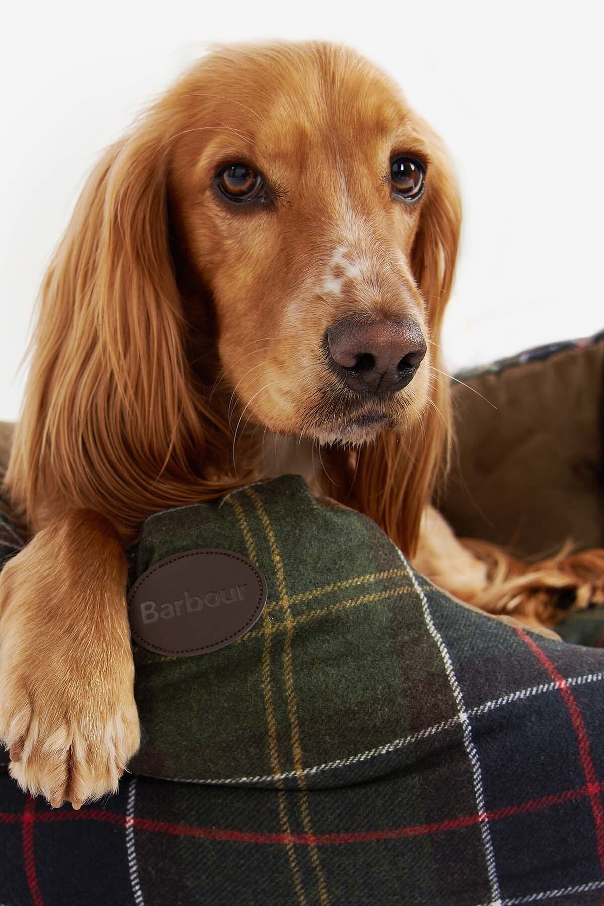 Luxury Dog Bed - CLASSIC TARTAN
