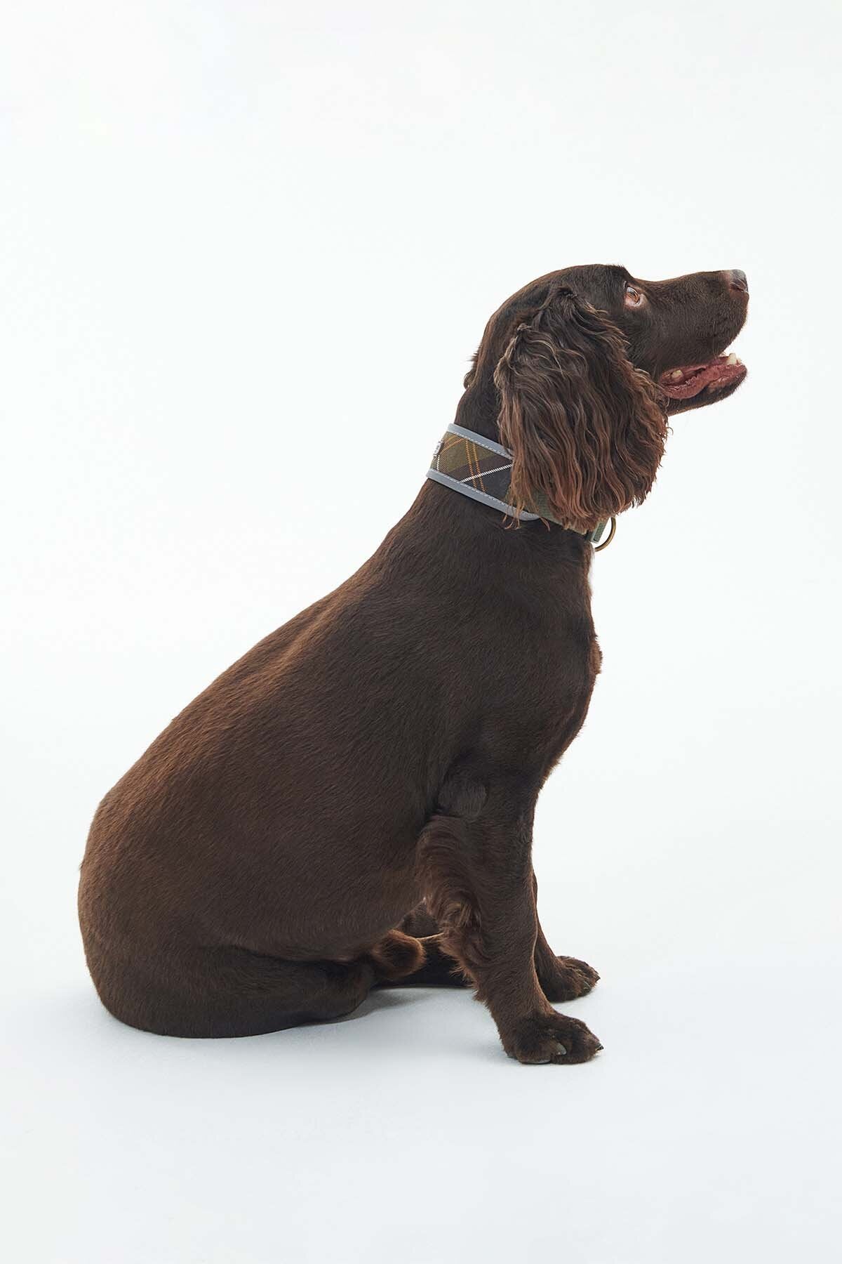 Reflective Tartan Comfort Collar - CLASSIC TARTAN