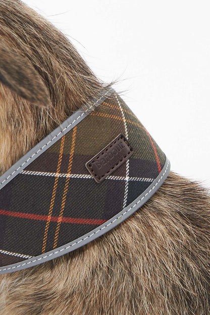 Comfort Lurcher Collar - CLASSIC TARTAN