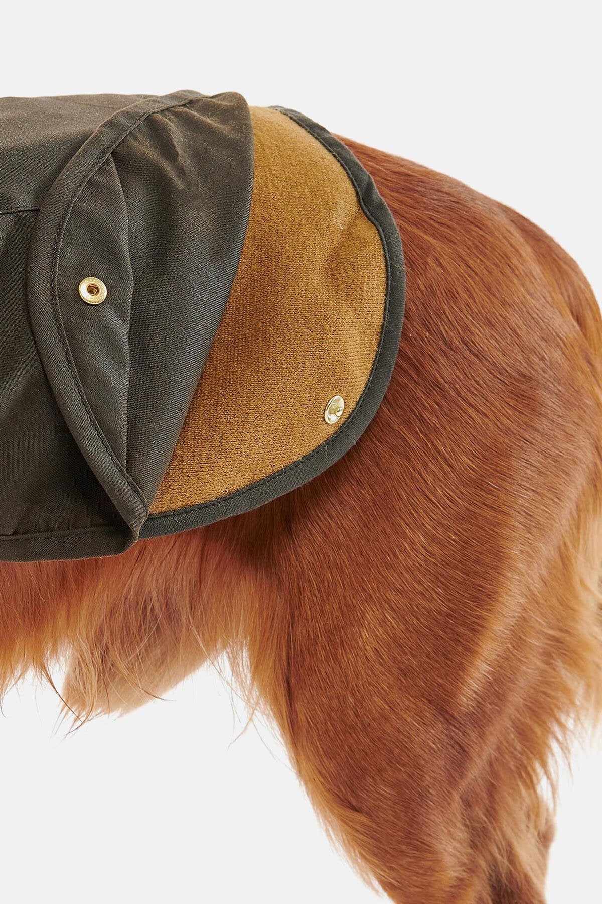 2 in 1 Wax Dog Coat - OLIVE