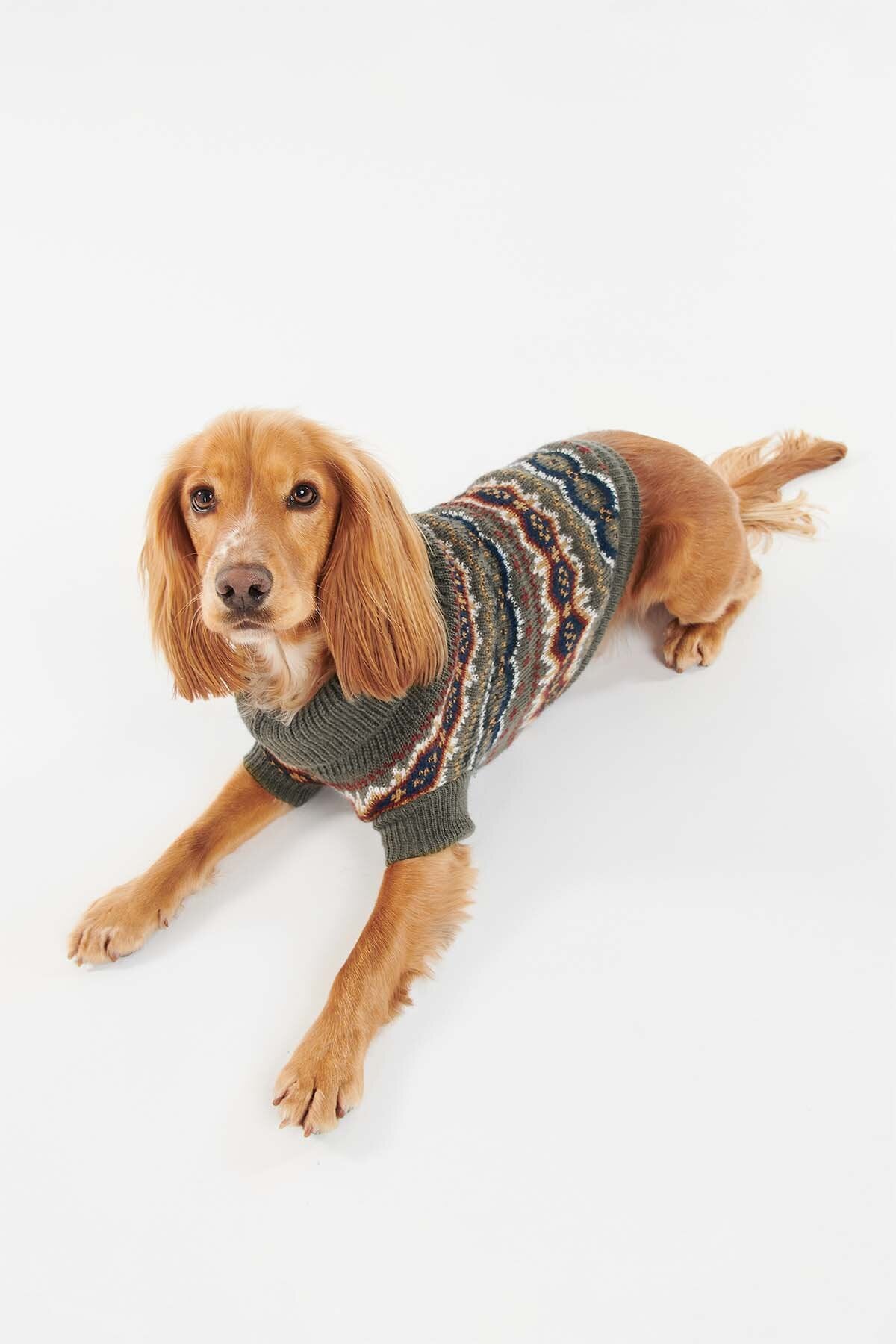 Case Fairisle Dog Jumper - OLIVE