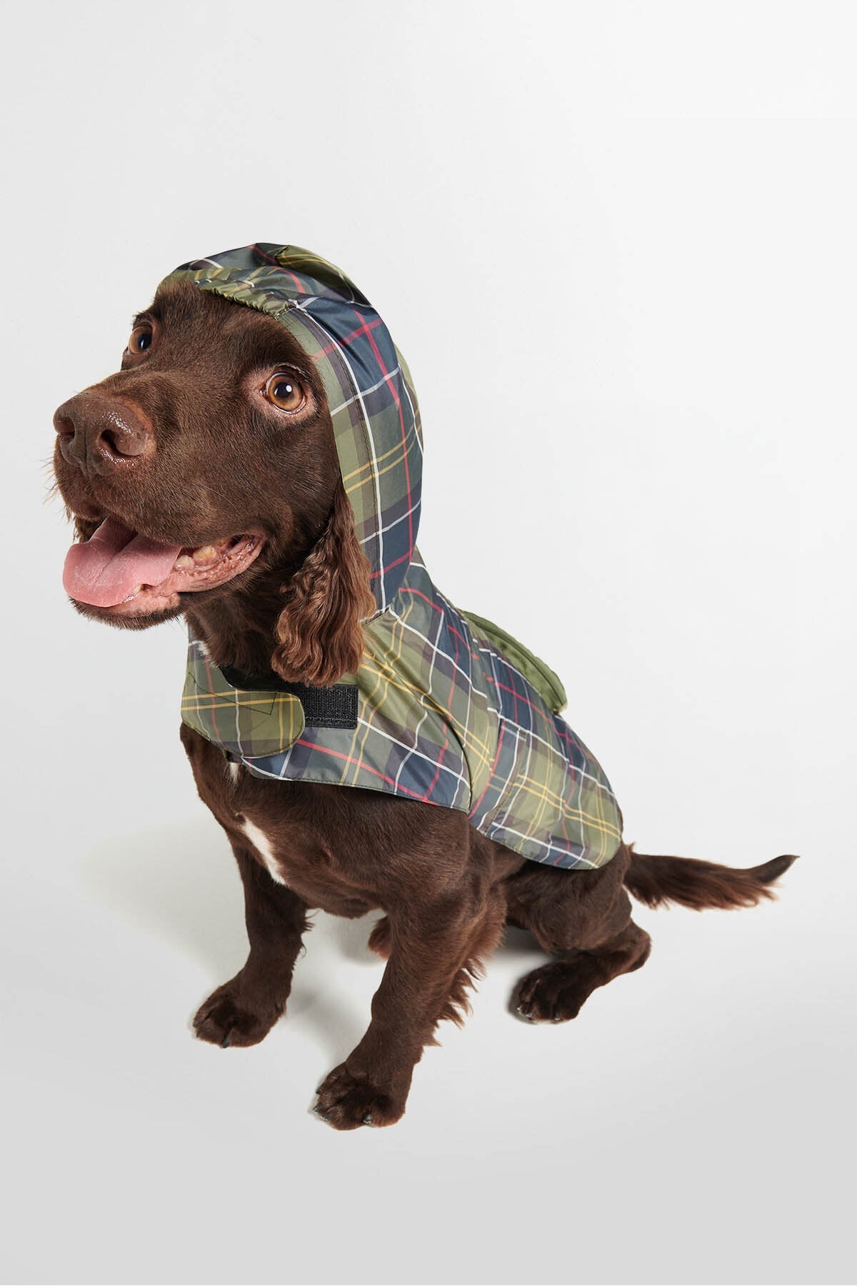 Packable Tartan Dog Coat - CLASSIC TARTAN
