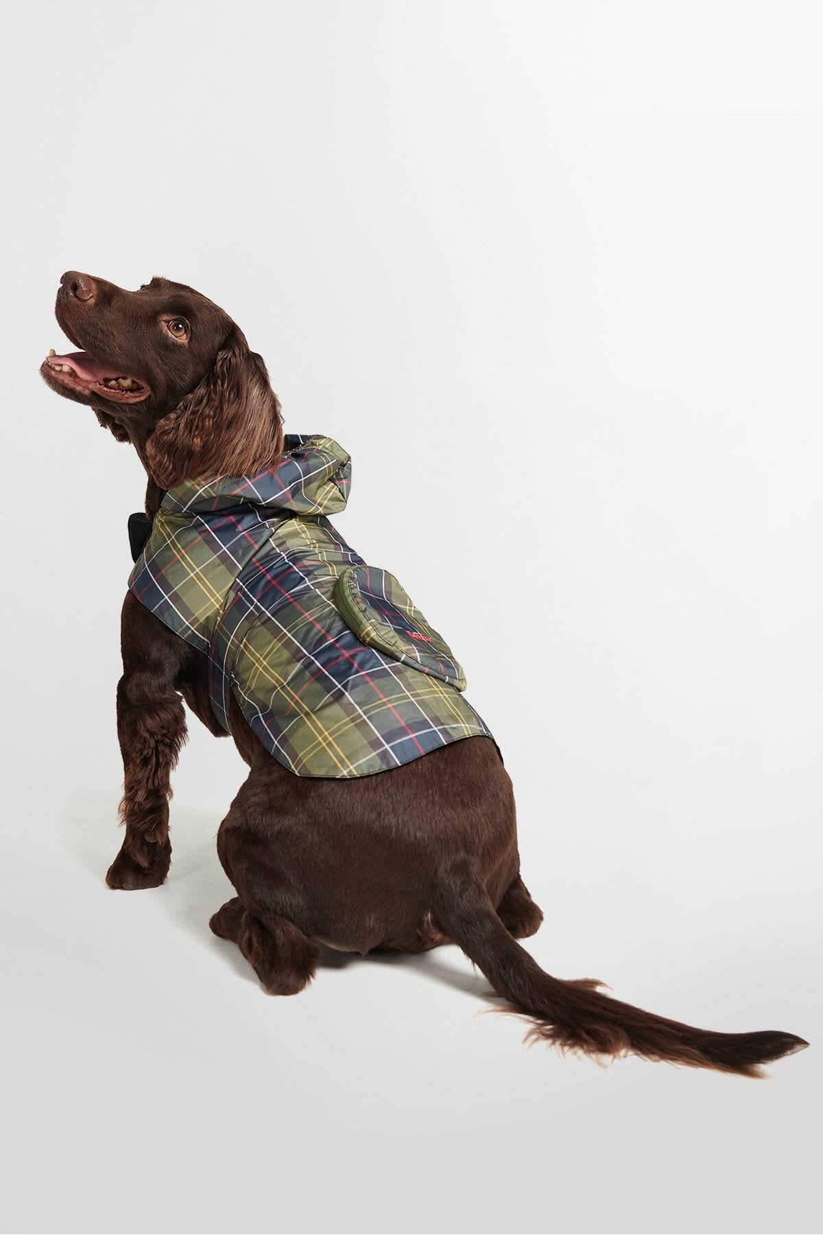 Packable Tartan Dog Coat - CLASSIC TARTAN