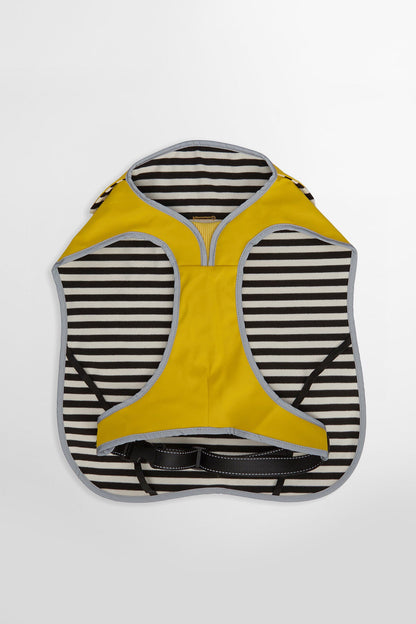Evie Waterproof Dog Coat - LIMEADE