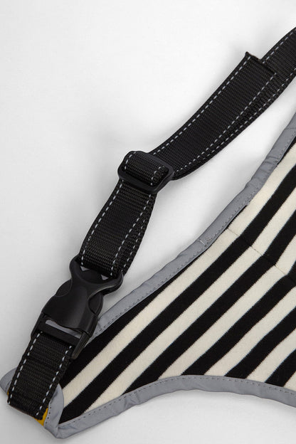 Evie Waterproof Dog Coat - LIMEADE