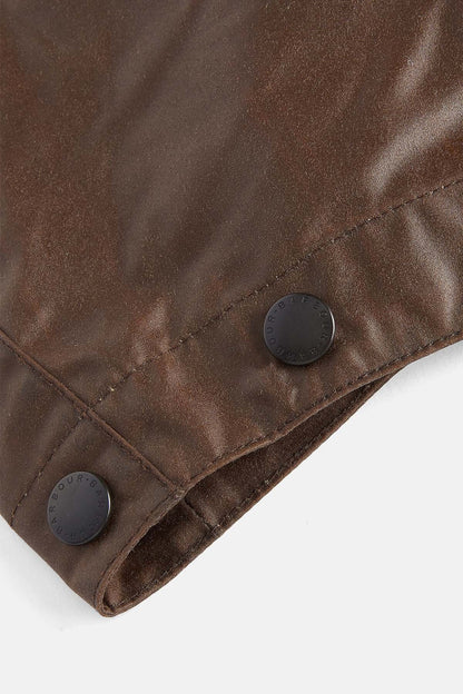 Wax Cotton Hood - BARK